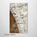 Carlsbad, California Street Map - Fire & Pine
