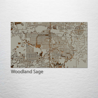 Holiday, Florida Street Map
