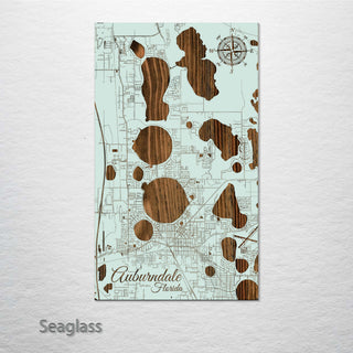 Auburndale, Florida Street Map