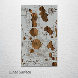 Auburndale, Florida Street Map
