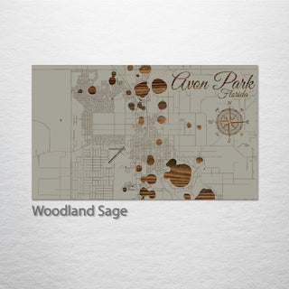 Avon Park, Florida Street Map