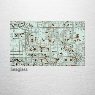 Cooper City, Florida Street Map