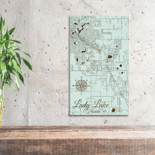 Lady Lake, Florida Street Map