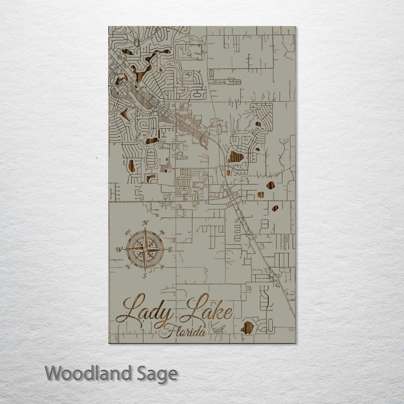 Lady Lake, Florida Street Map