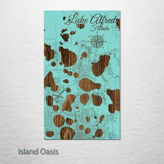 Lake Alfred, Florida Street Map