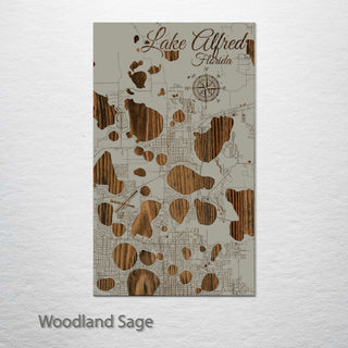 Lake Alfred, Florida Street Map