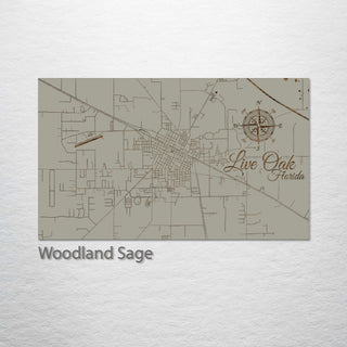 Live Oak, Florida Street Map