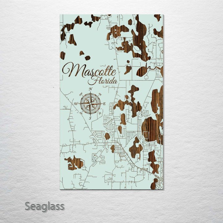 Mascotte, Florida Street Map