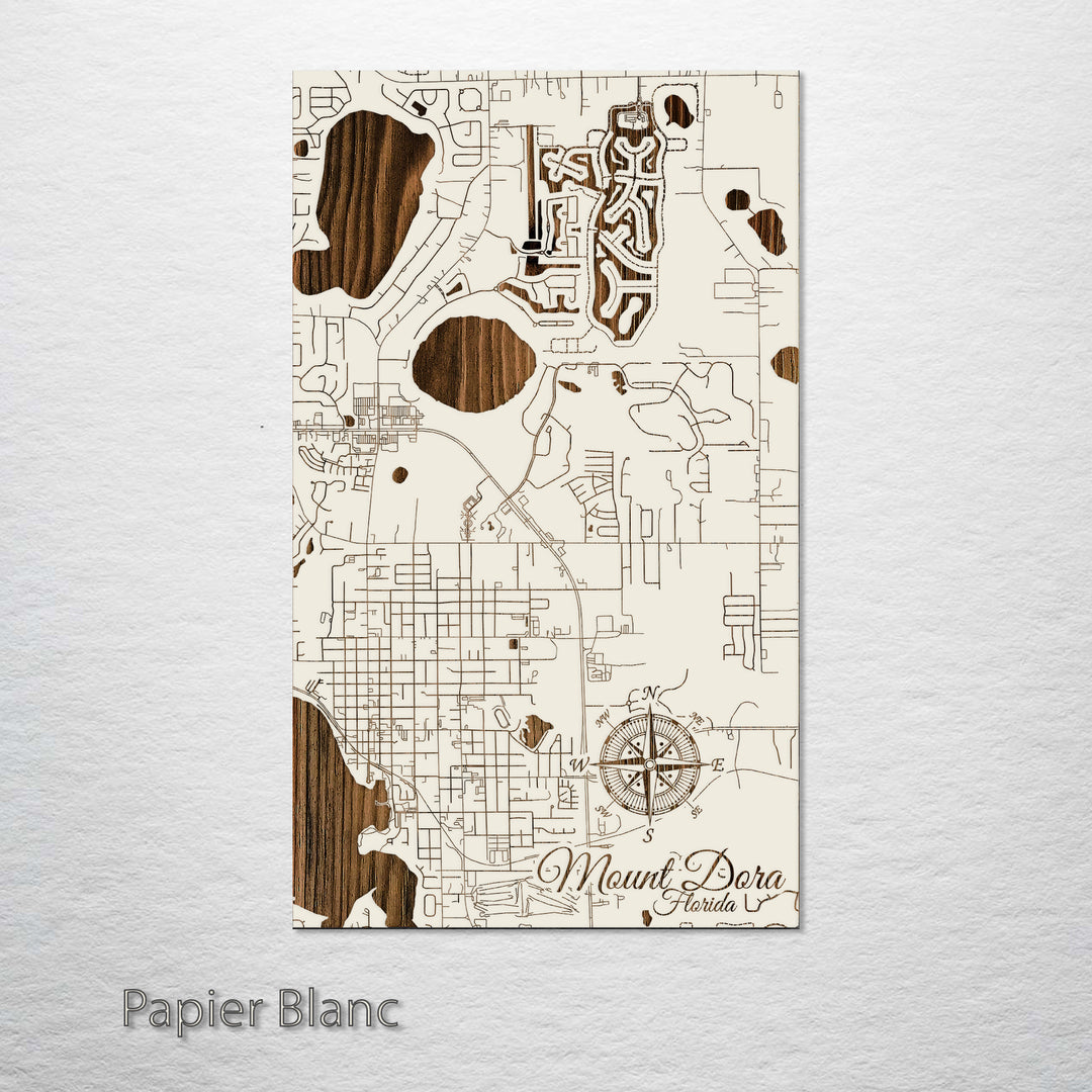 Mount Dora, Florida Street Map