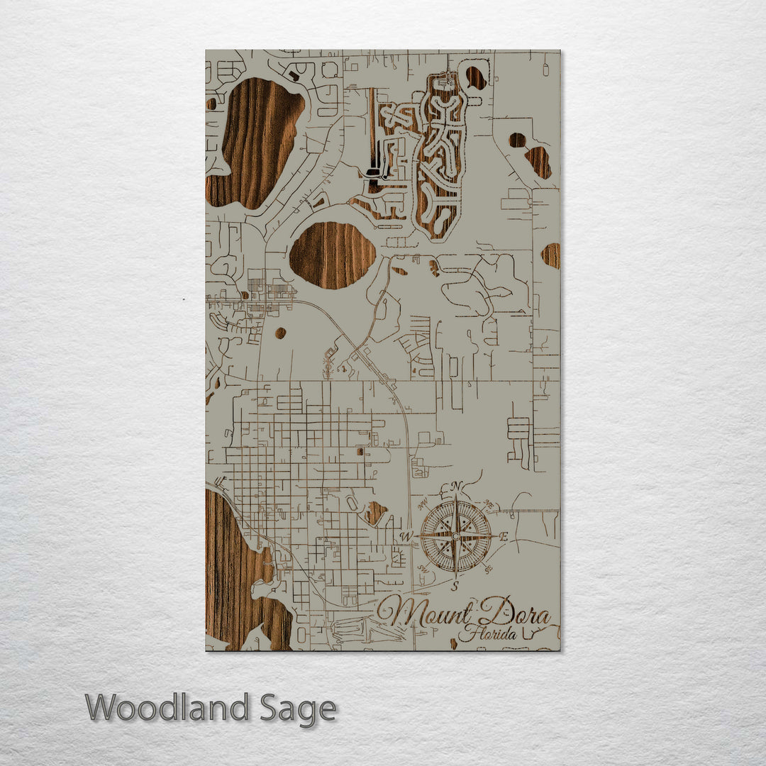 Mount Dora, Florida Street Map