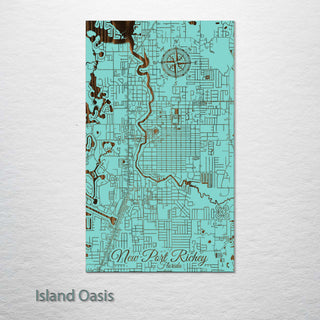 New Port Richey, Florida Street Map