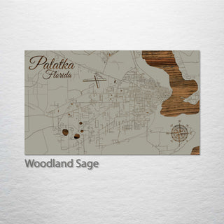 Palatka, Florida Street Map