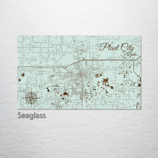 Plant City, Florida Street Map