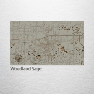 Plant City, Florida Street Map