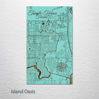 Temple Terrace, Florida Street Map