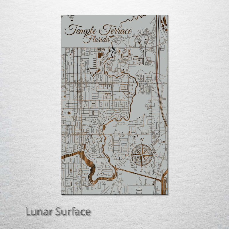 Temple Terrace, Florida Street Map