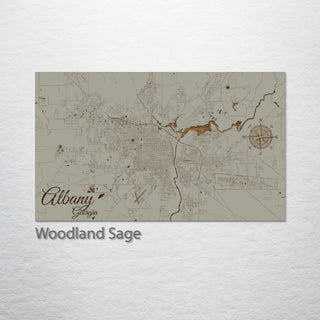 Albany, Georgia Street Map