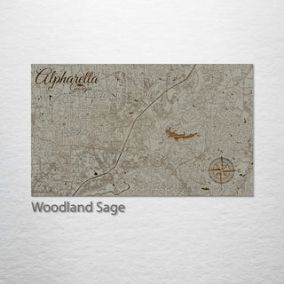 Alpharetta, Georgia Street Map