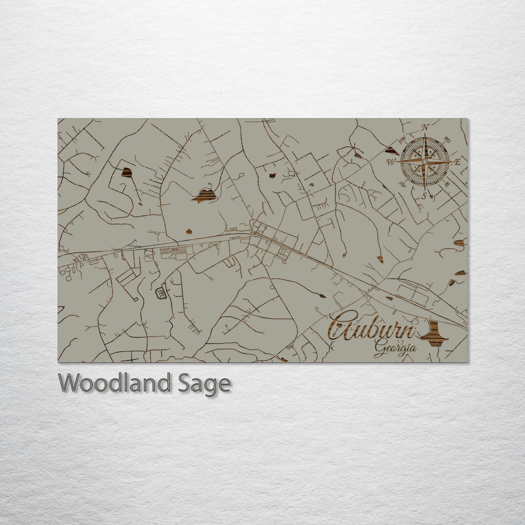 Auburn, Georgia Street Map