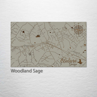 Auburn, Georgia Street Map