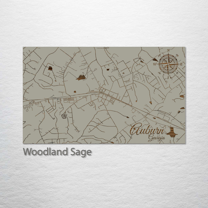 Auburn, Georgia Street Map