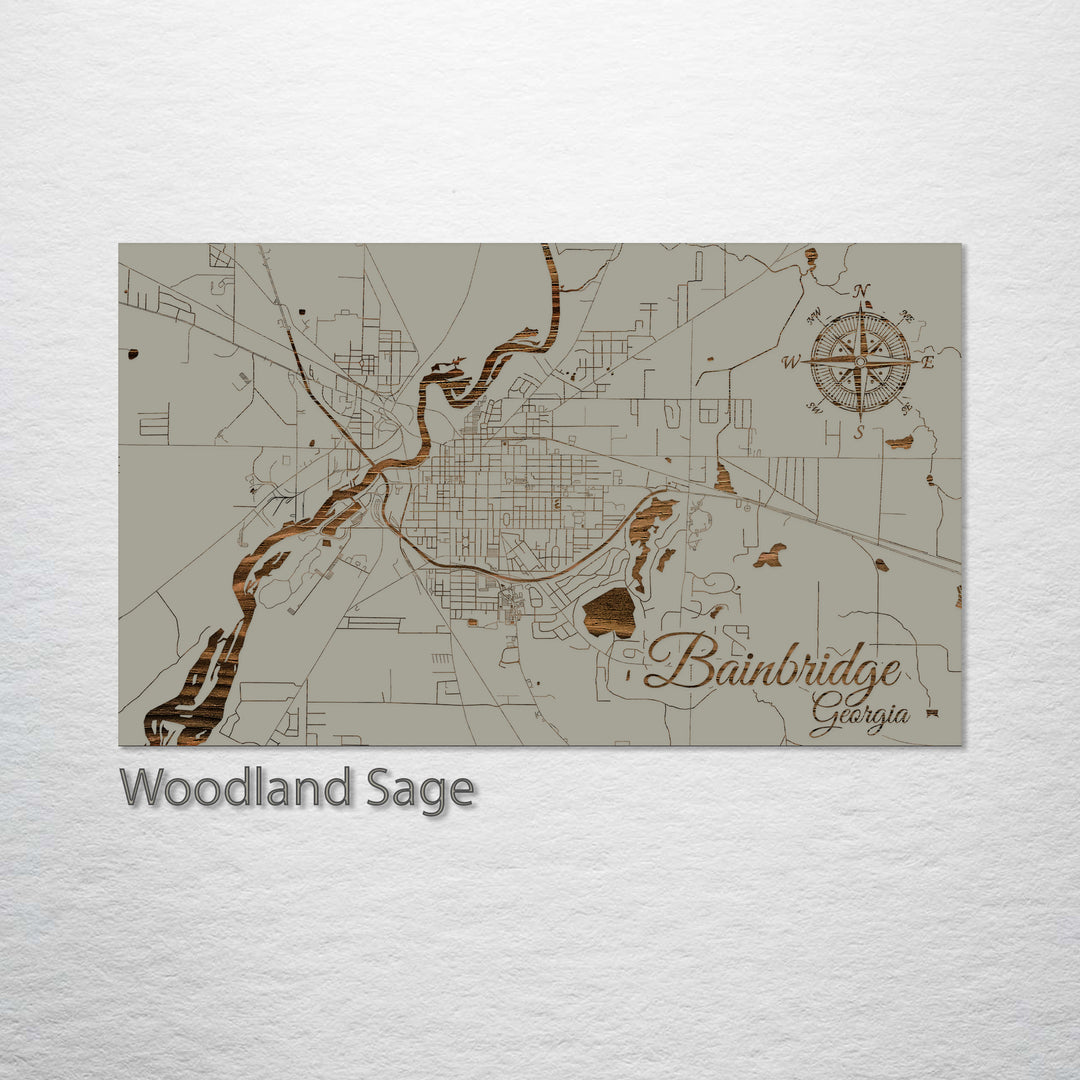 Bainbridge, Georgia Street Map