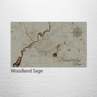 Bainbridge, Georgia Street Map