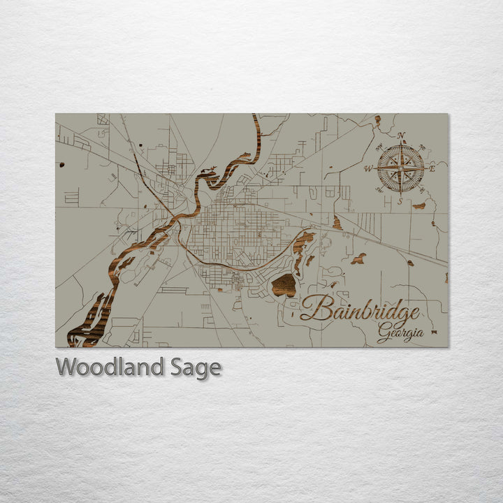 Bainbridge, Georgia Street Map