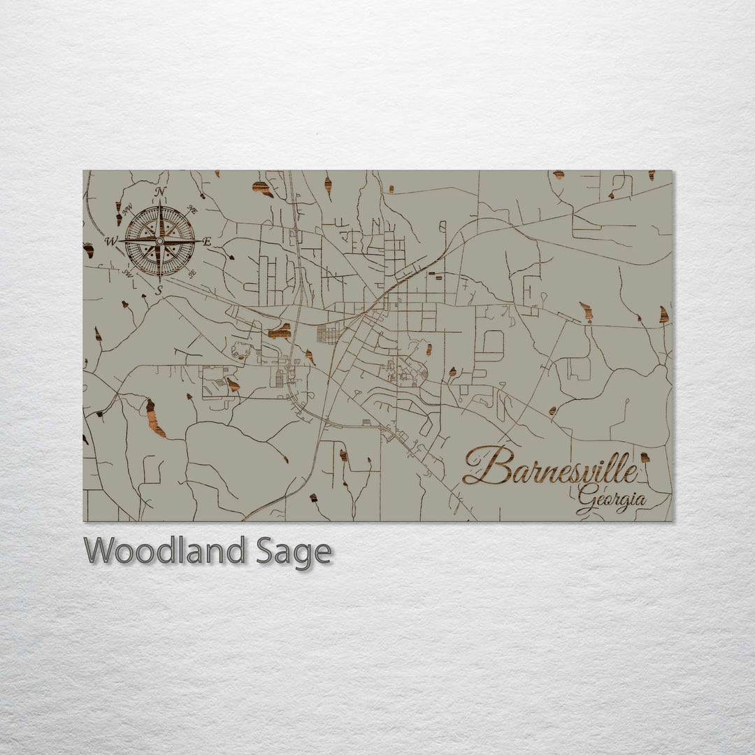 Barnesville, Georgia Street Map