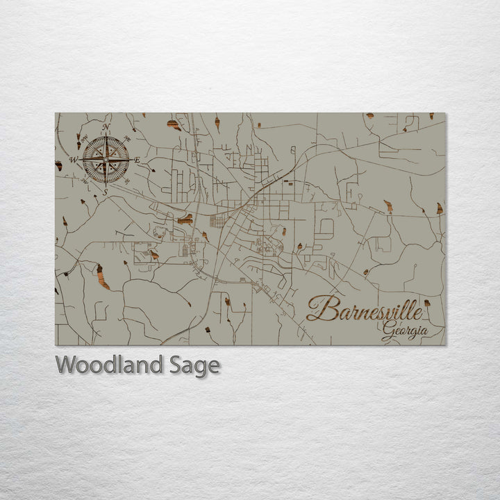 Barnesville, Georgia Street Map