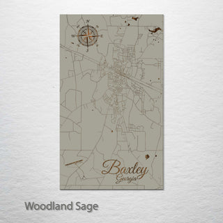 Baxley, Georgia Street Map