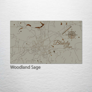 Blakely, Georgia Street Map