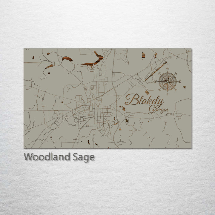 Blakely, Georgia Street Map