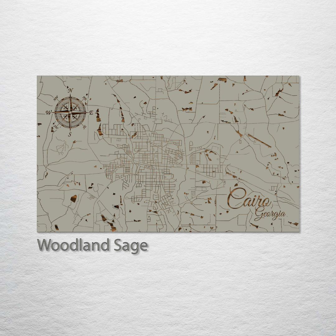 Cairo, Georgia Street Map