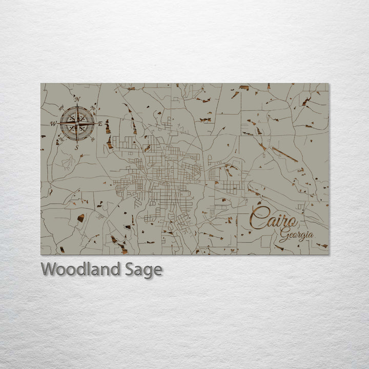 Cairo, Georgia Street Map