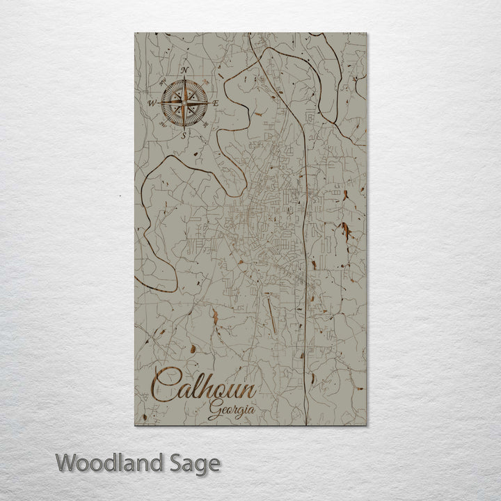 Calhoun, Georgia Street Map