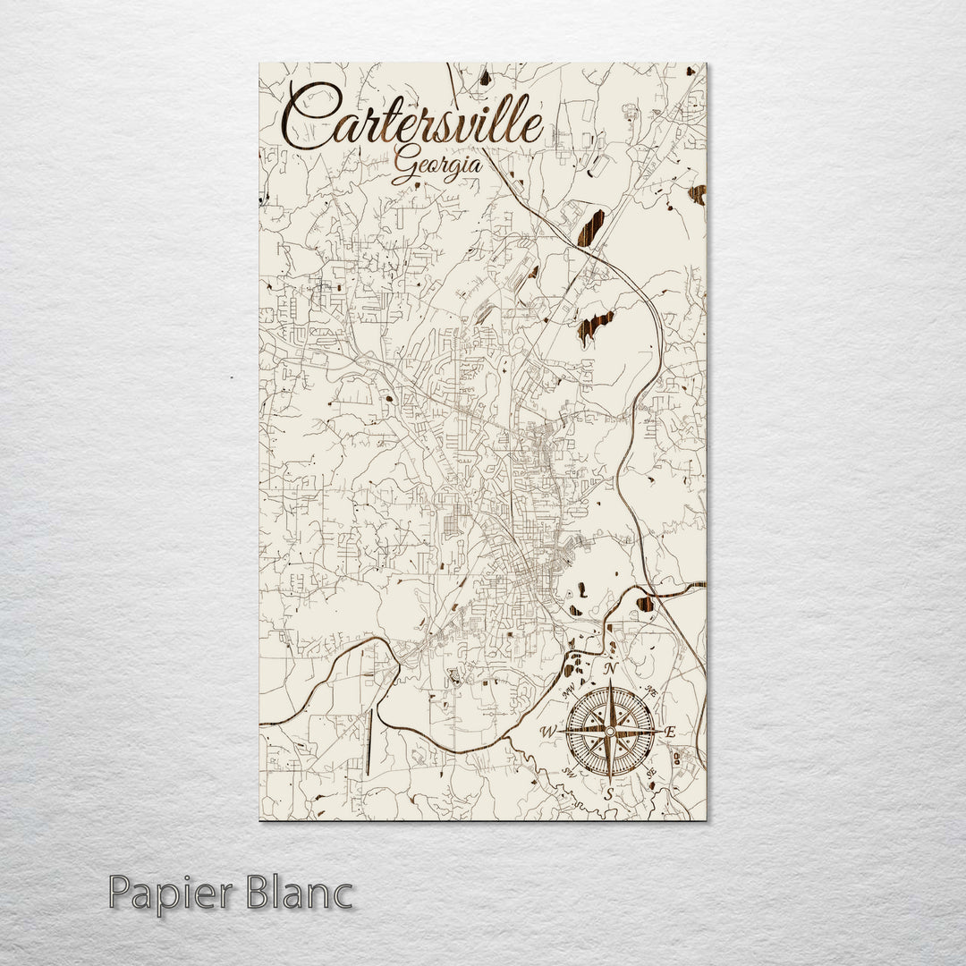 Cartersville, Georgia Street Map