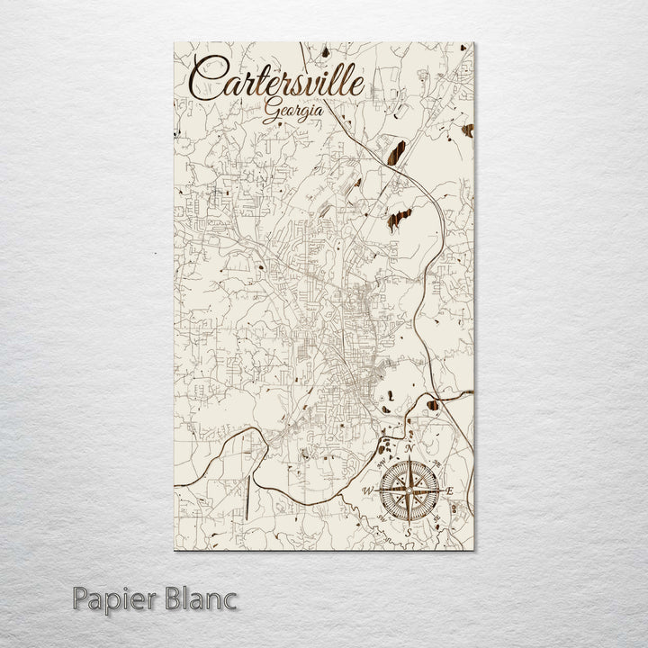 Cartersville, Georgia Street Map