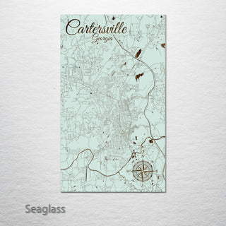 Cartersville, Georgia Street Map