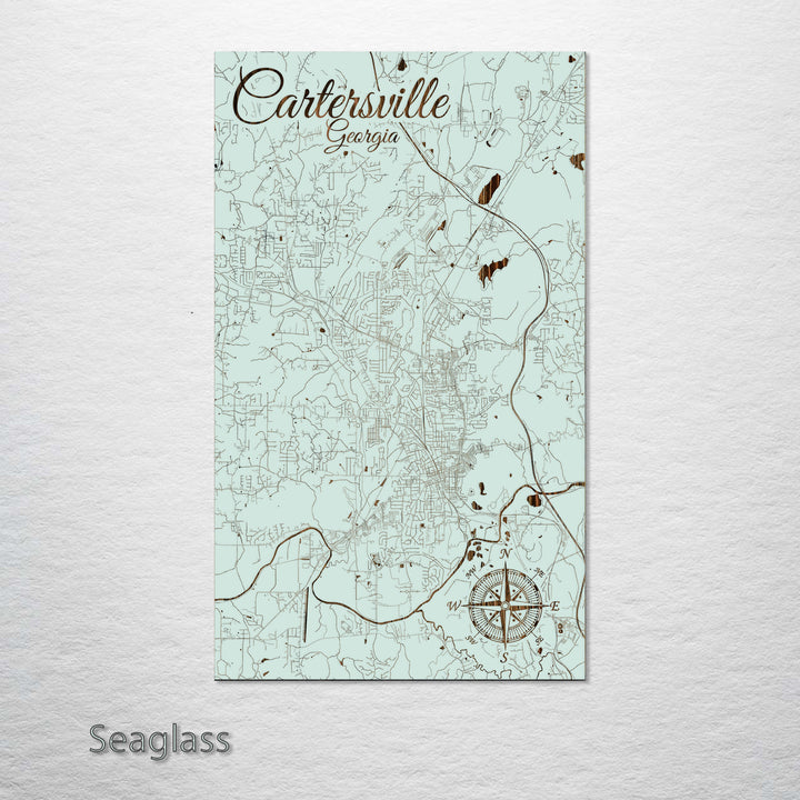 Cartersville, Georgia Street Map