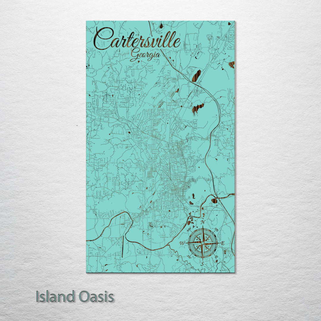 Cartersville, Georgia Street Map