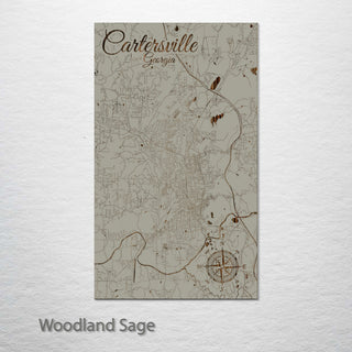 Cartersville, Georgia Street Map