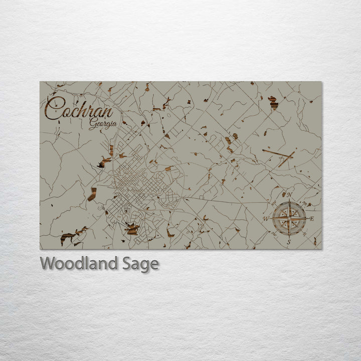 Cochran, Georgia Street Map