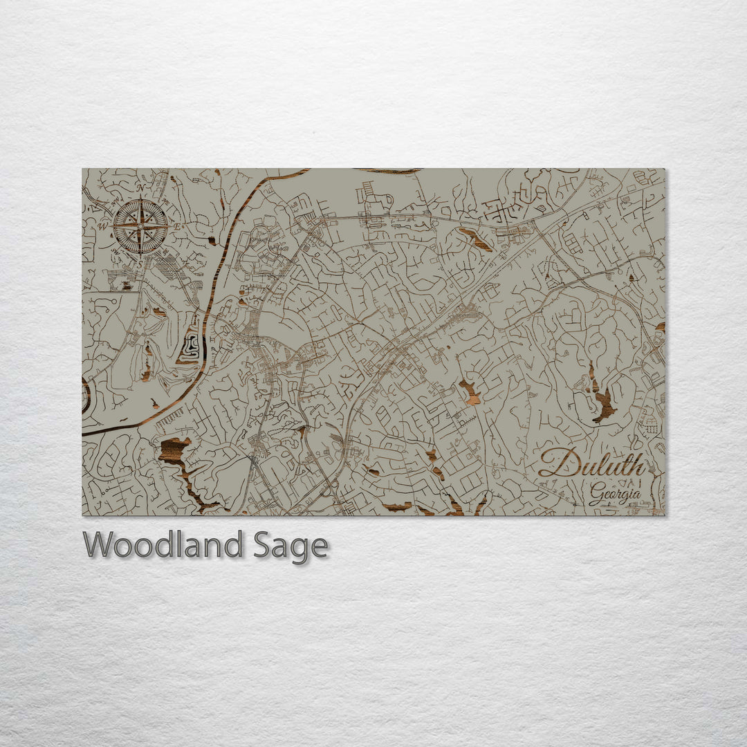 Duluth, Georgia Street Map