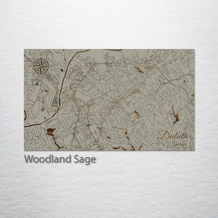 Duluth, Georgia Street Map