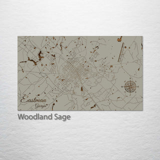 Eastman, Georgia Street Map