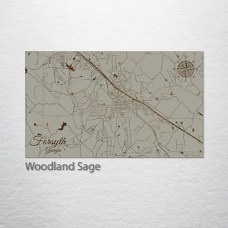 Forsyth, Georgia Street Map