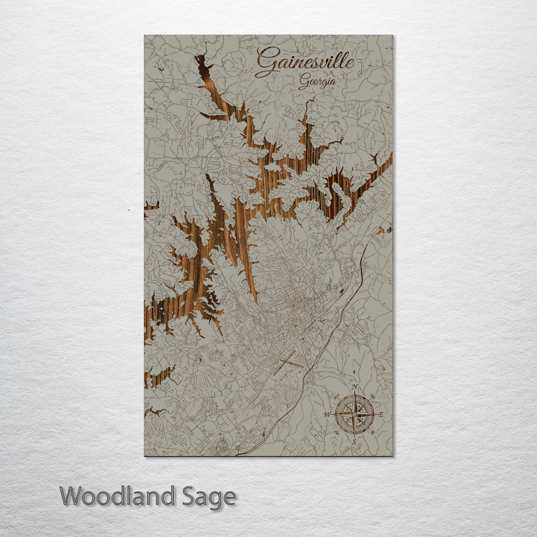 Gainesville, Georgia Street Map