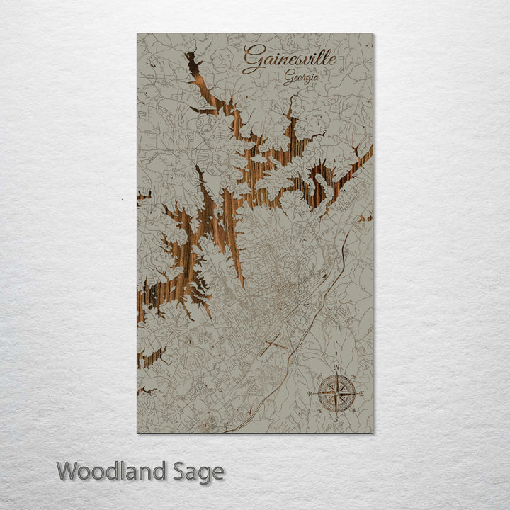 Gainesville, Georgia Street Map