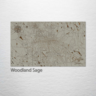 Griffin, Georgia Street Map